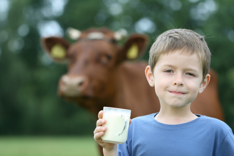 Question and Answer Guide for Cow’s Milk Protein Allergy