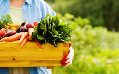 4 Myths About Organic Foods