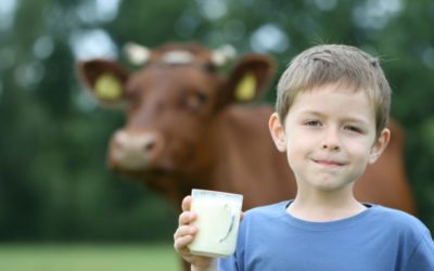 Question and Answer Guide for Cow’s Milk Protein Allergy